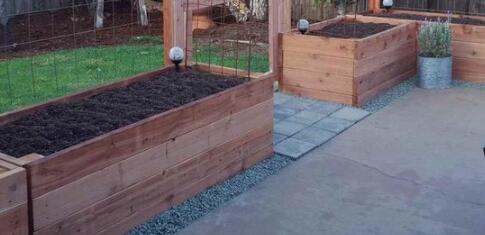 conseils de jardinage