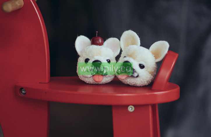 pom pom pets